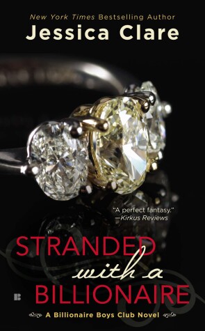 Book cover for Stranded with a Billionaire