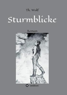 Book cover for Sturmblicke