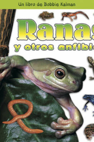 Cover of Ranas y Otros Anfibios