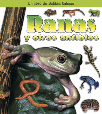 Book cover for Ranas y Otros Anfibios