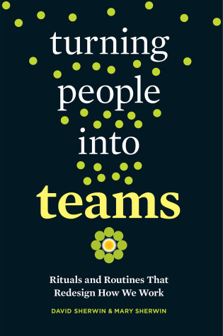 Cover of Turning People into Teams