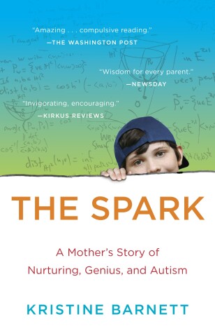 Book cover for The Spark