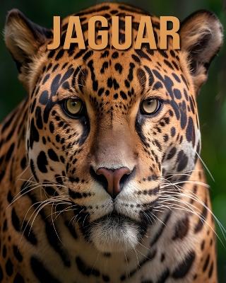 Book cover for Jaguar