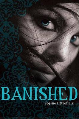 Book cover for Banished