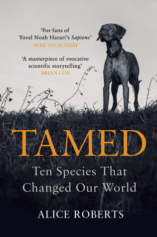 Cover of Tamed