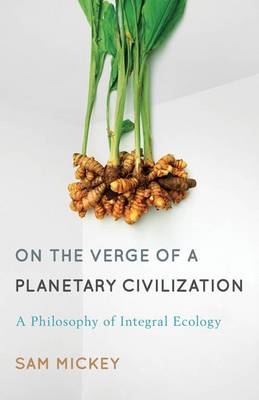 Book cover for On the Verge of a Planetary Civilization