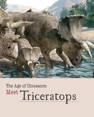 Book cover for Meet Triceratops