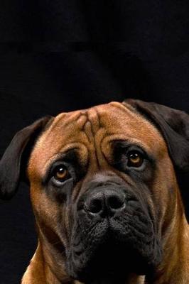 Book cover for The Boerboel Dog Journal (South African Mastiff)