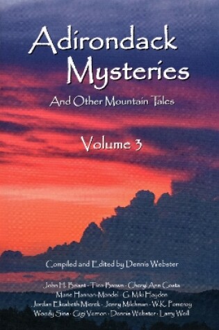 Cover of Adirondack Mysteries