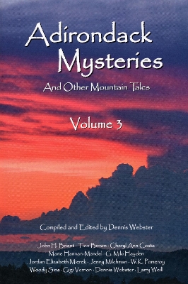 Cover of Adirondack Mysteries