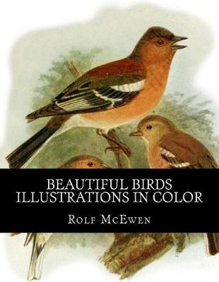 Book cover for Beautiful Birds - Illustrations in Color