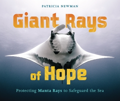 Cover of Giant Rays of Hope