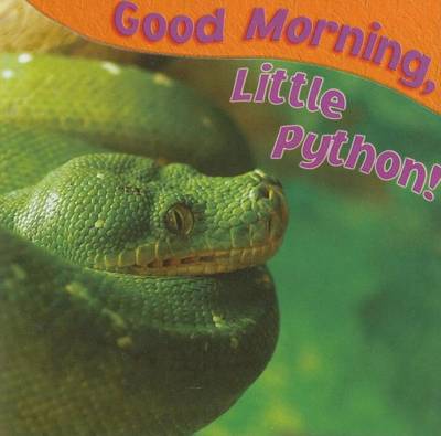 Book cover for Good Morning, Little Python!