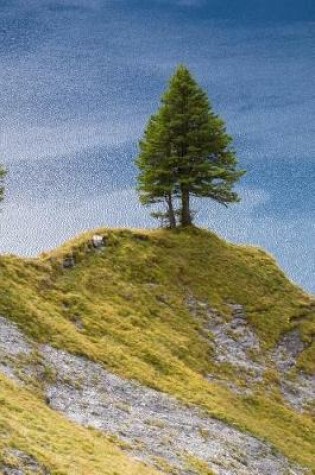 Cover of A Fir Tree on a Hill Overlooking the Lake Journal