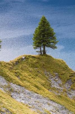 Book cover for A Fir Tree on a Hill Overlooking the Lake Journal