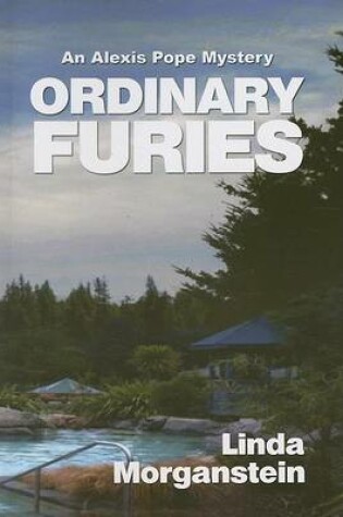 Cover of Ordinary Furies
