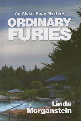 Book cover for Ordinary Furies