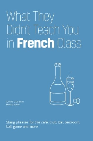 Cover of What They Didn't Teach You in French Class