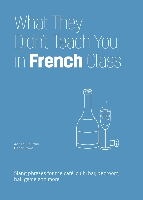 Book cover for What They Didn't Teach You in French Class