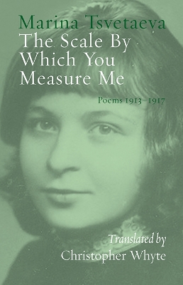Book cover for The Scale By Which You Measure Me