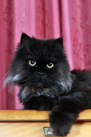 Cover of The Black Persian Cat Journal