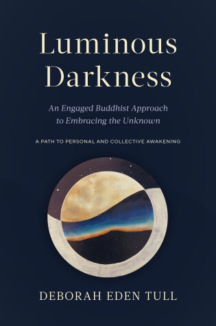 Cover of Luminous Darkness