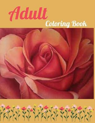 Book cover for Adult Coloring Book