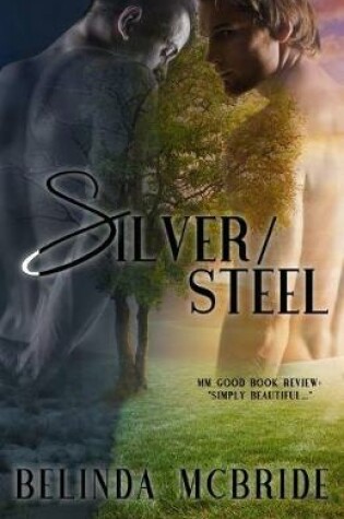 Cover of Silver/Steel