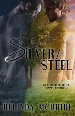 Book cover for Silver/Steel