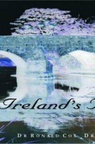 Cover of Ireland's Bridges