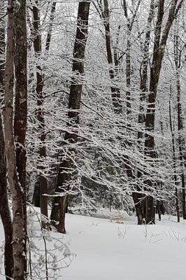 Cover of Journal Winter Picture Snowy Trees