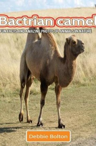 Cover of Bactrian Camel