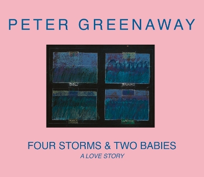 Book cover for Four Storms & Two Babies