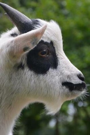 Cover of Sweet Black and White Goat in Profile on the Farm Journal