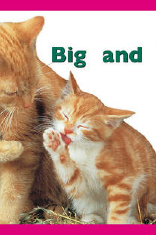 Cover of Big and little