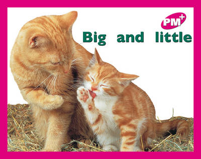 Book cover for Big and little