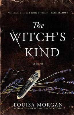 Book cover for The Witch's Kind