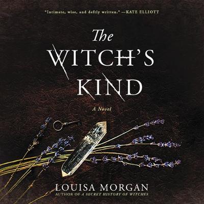 Book cover for The Witch's Kind