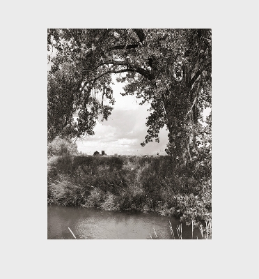 Book cover for Robert Adams: Cottonwoods