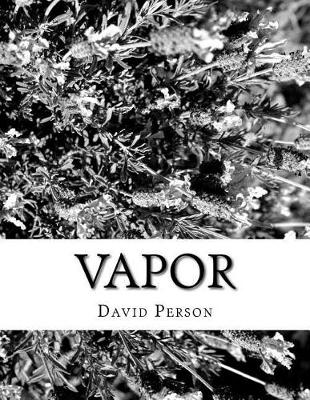 Book cover for Vapor