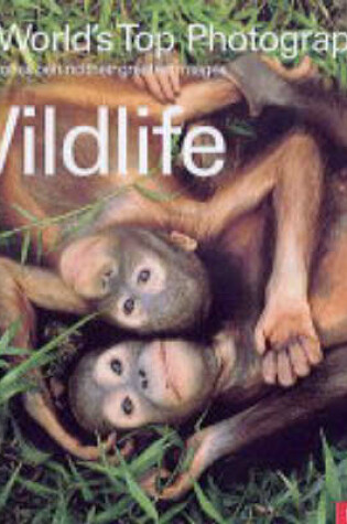 Cover of The World's Top Photographers Wildlife