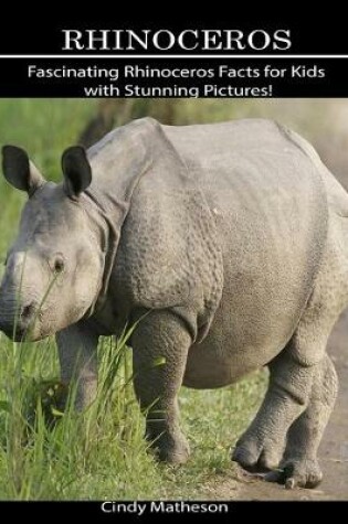 Cover of Rhinoceros