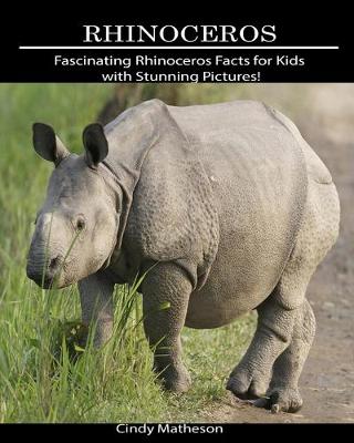 Cover of Rhinoceros