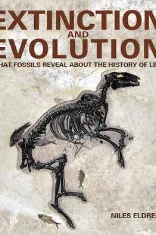 Cover of Extinction and Evolution