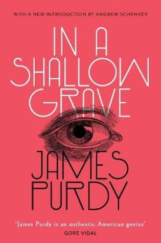 Cover of In a Shallow Grave (Valancourt 20th Century Classics)