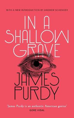 Book cover for In a Shallow Grave (Valancourt 20th Century Classics)