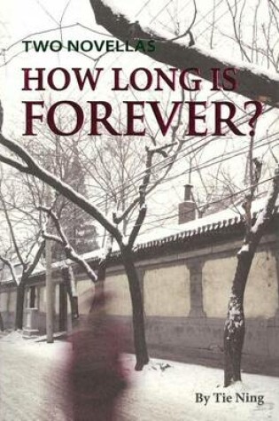 Cover of How Long Is Forever? Two Novellas
