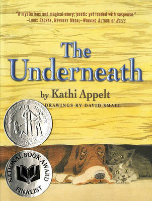 Book cover for The Underneath