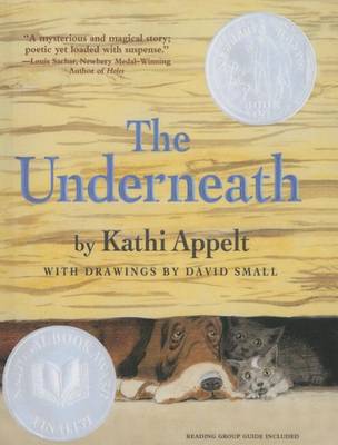 Book cover for Underneath