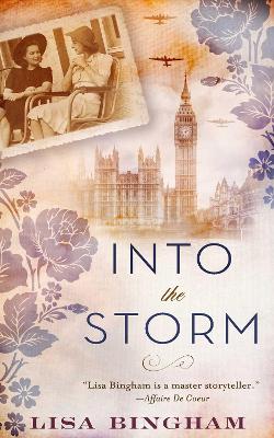 Book cover for Into the Storm